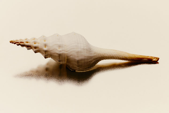 w1.jpg
