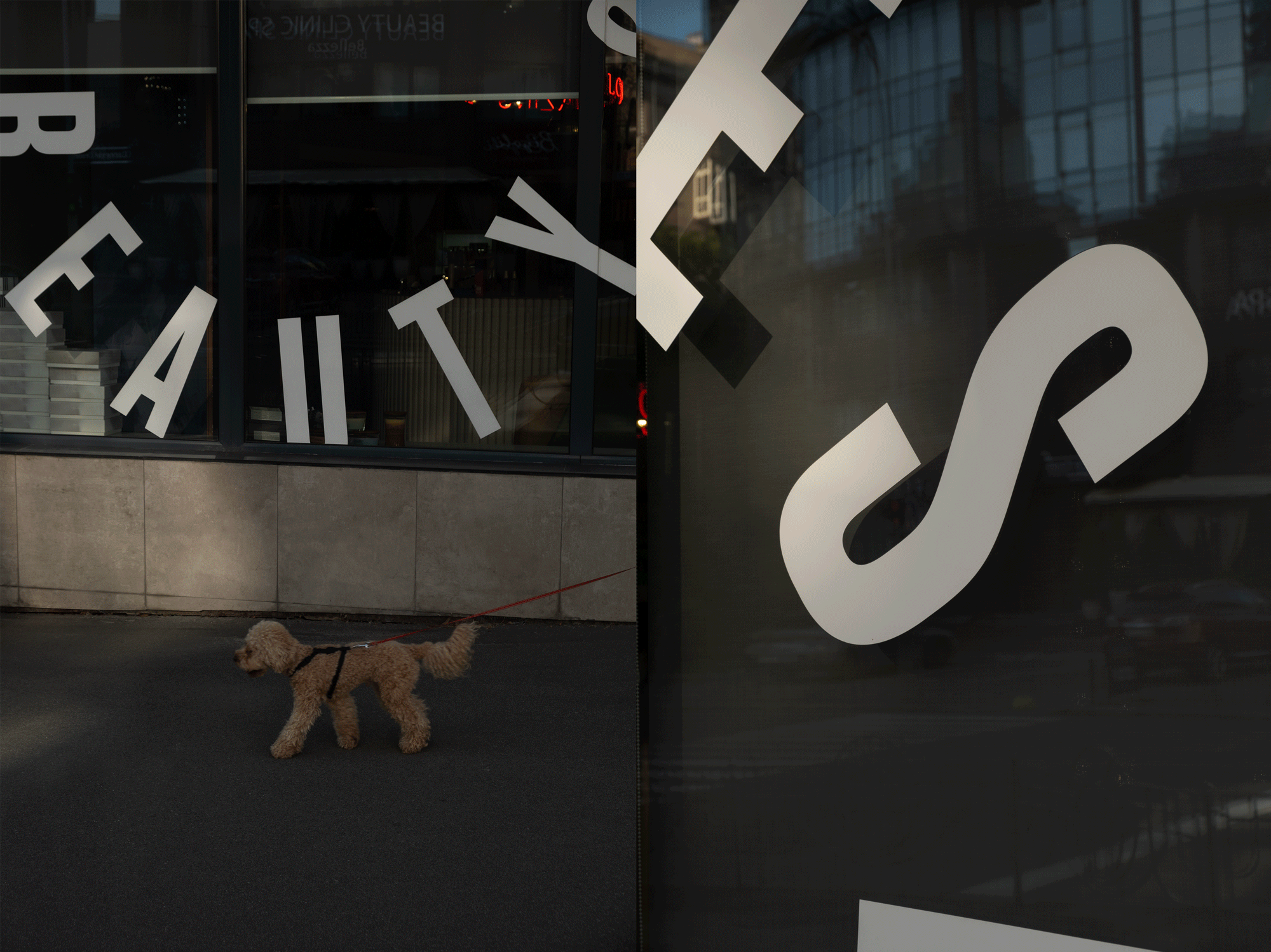 DSCF4892.gif