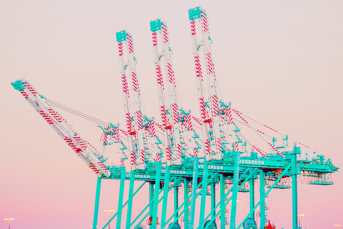 cranes123456789012.jpg