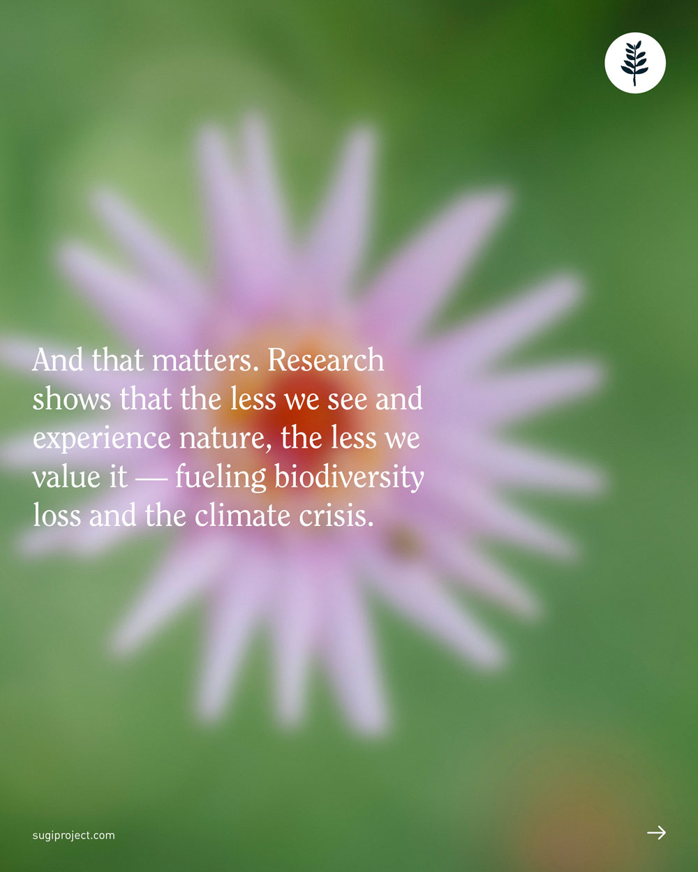 LANGUAGE-OF-NATURE-IS-FADING_4.jpg