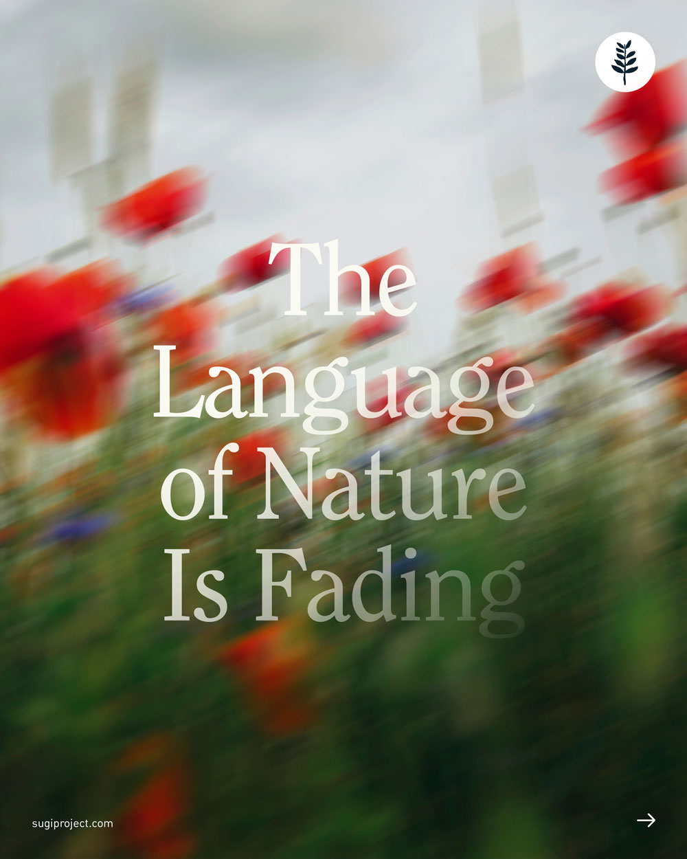LANGUAGE-OF-NATURE-IS-FADING_COVER.jpg