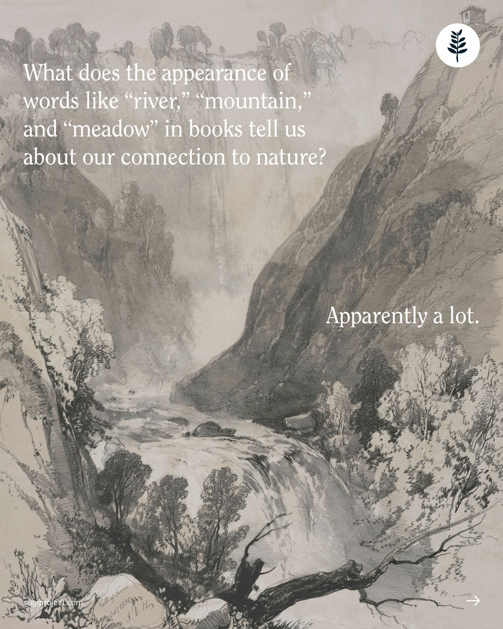 LANGUAGE-OF-NATURE-IS-FADING_2.jpg