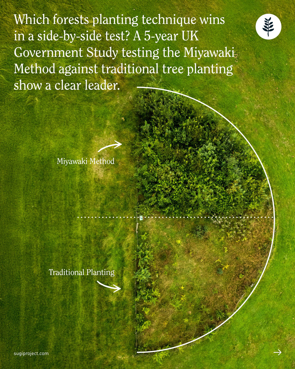 MIYAWAKI-FOREST-STUDY_2.jpg