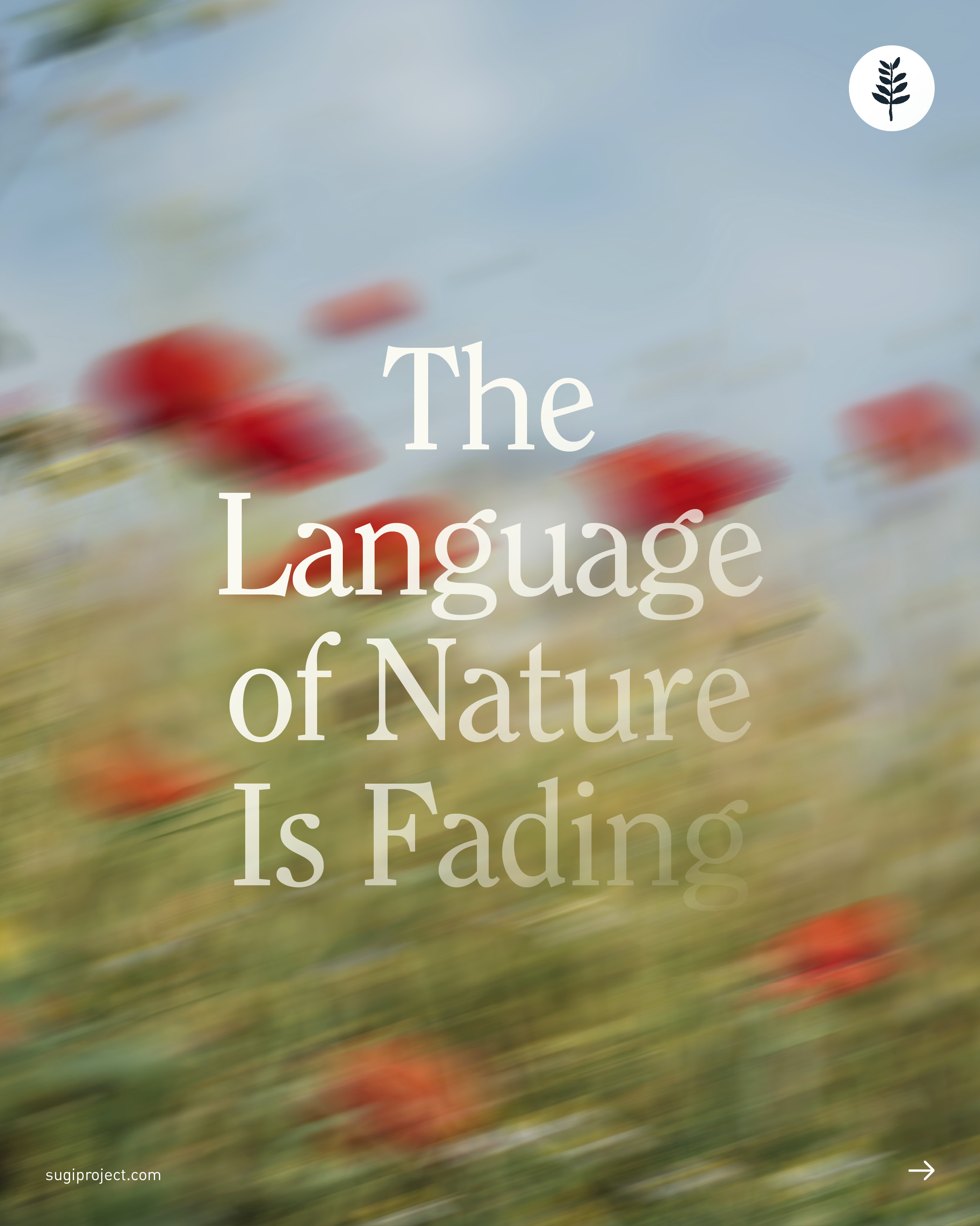 LANGUAGE OF NATURE IS FADING_COVER_.jpg