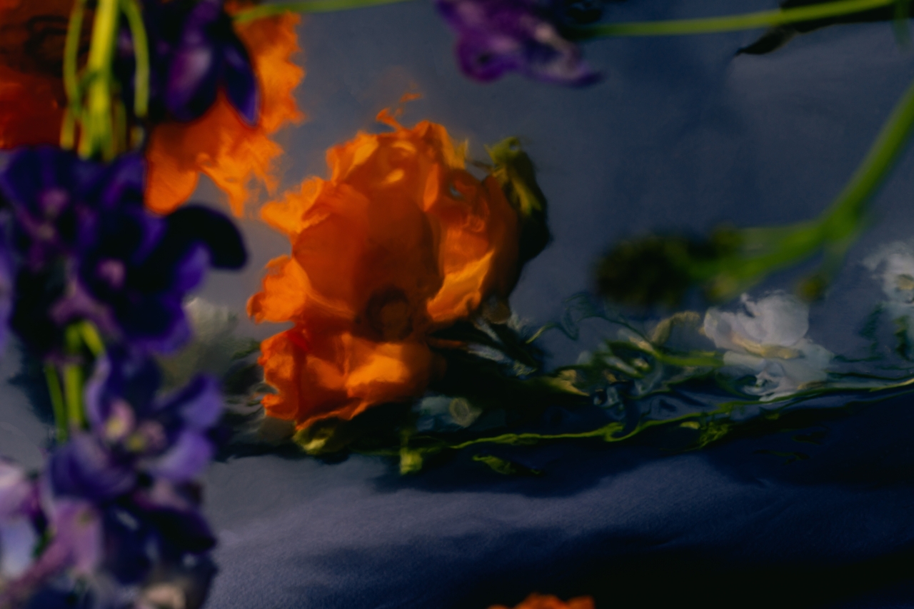 DTS_In_Focus_Daniel_Farò_Photos_ID5012.jpg