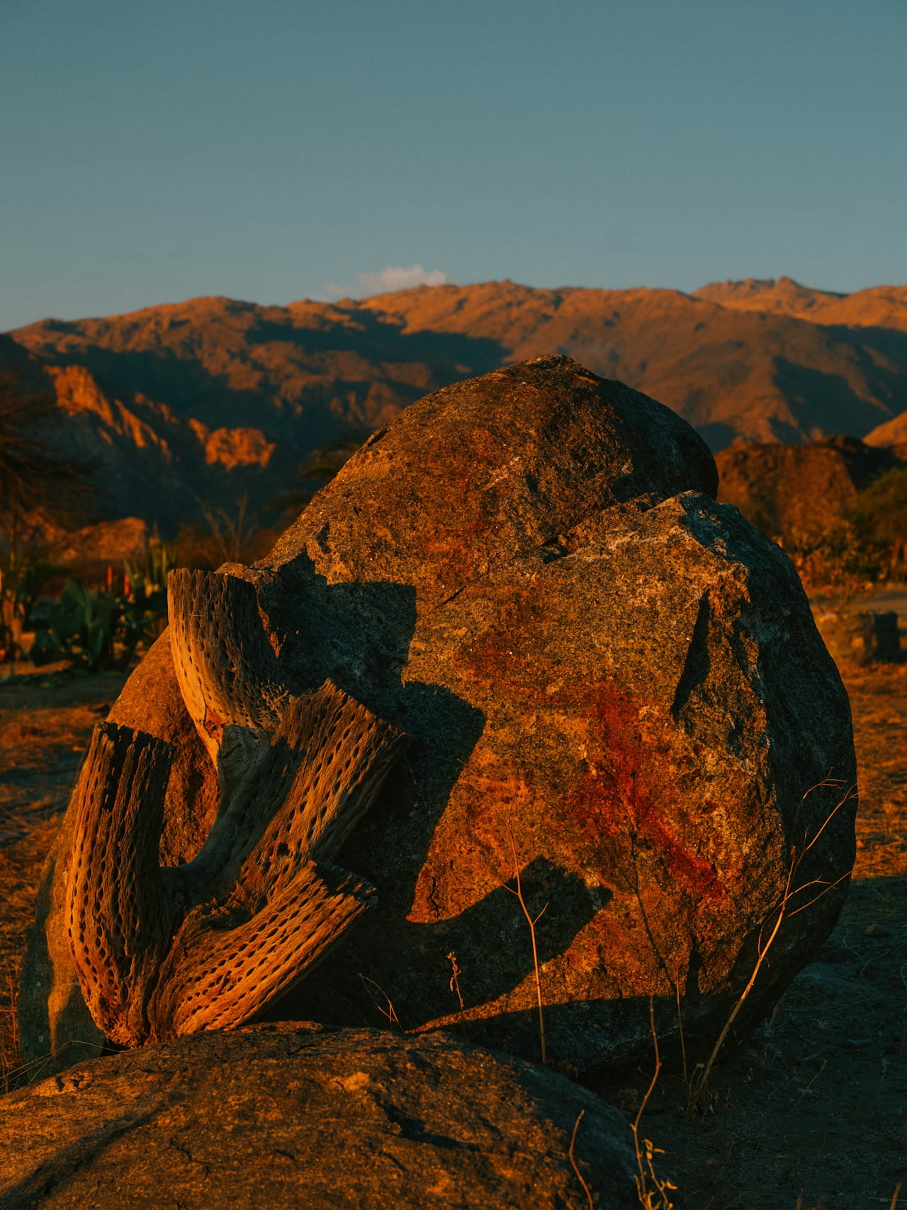 DTS_BANDITS_PALI_MENDEZ_Photos_ID14220.jpg