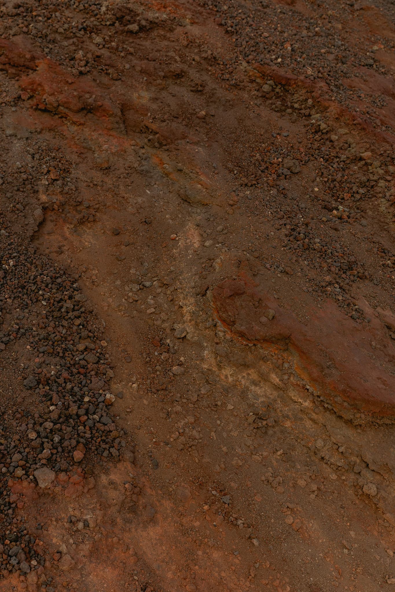 DTS_Another_Planet_Daniel_Farò_Photos_ID3978-2 (1).jpg