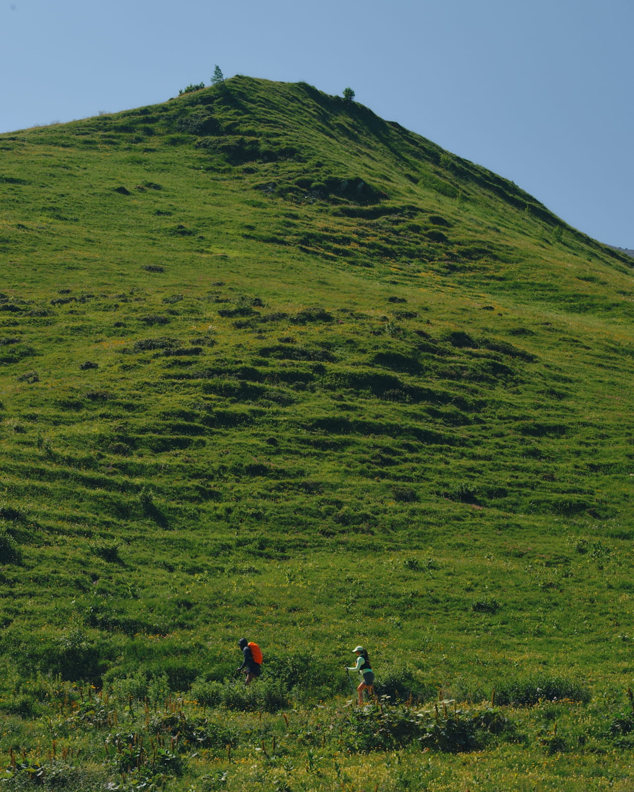 DTS_HI-TREK_Fanette_Guilloud_Photos_ID11213.jpg
