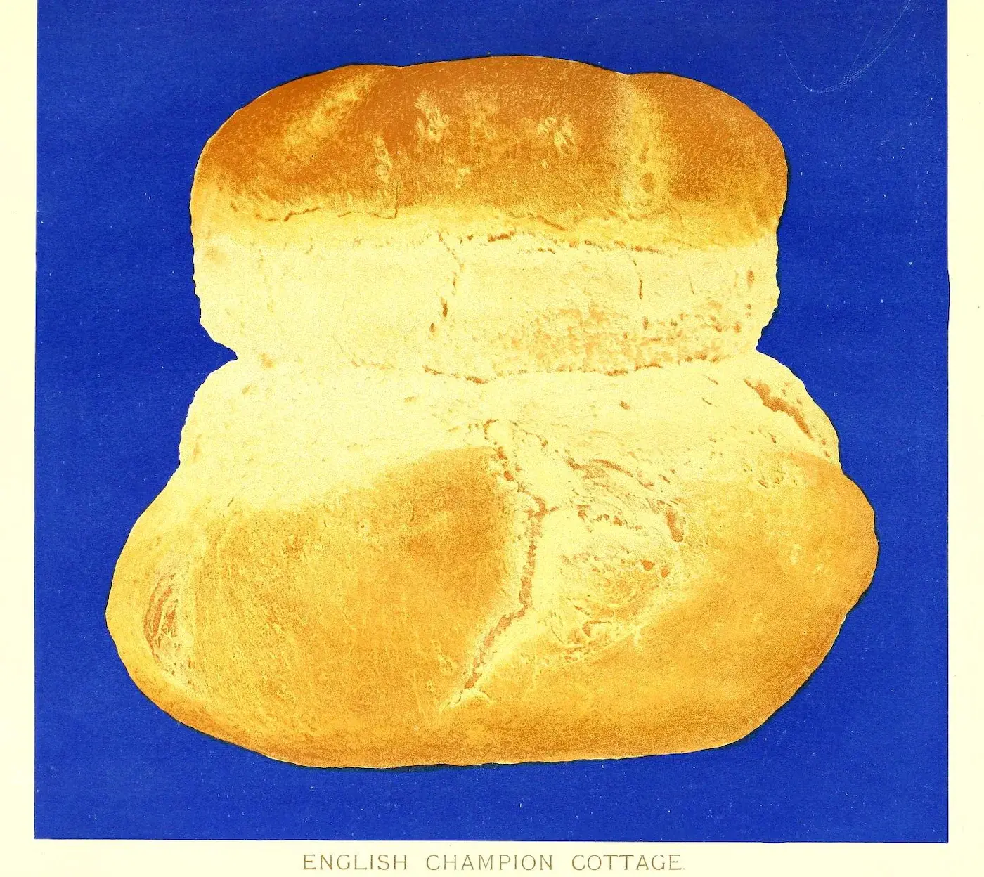 simmons-bread-12.webp